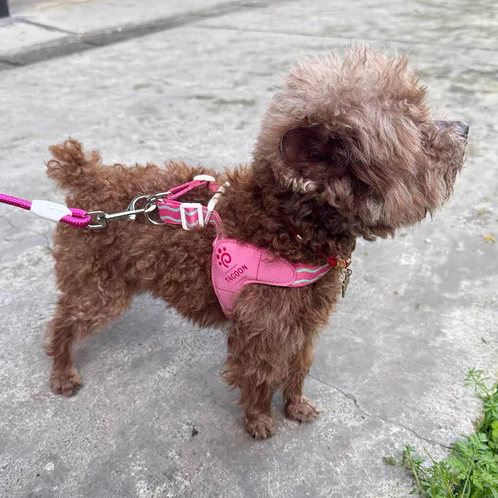 Atmungsaktives Mesh-Hundegeschirr für kleine Hunde